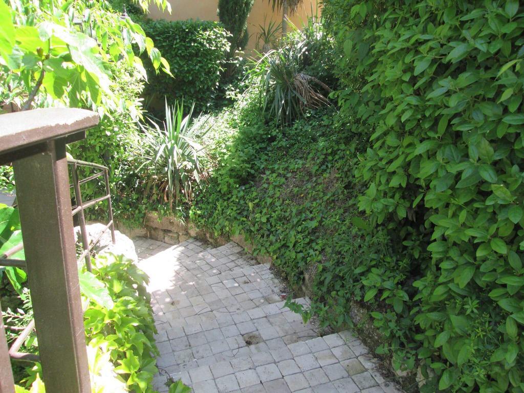 Les Chambres Du Moulin A Huile Vaison-la-Romaine Bagian luar foto